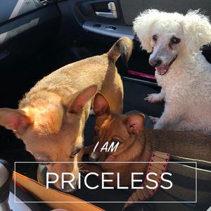 Meet your Posher, Jen